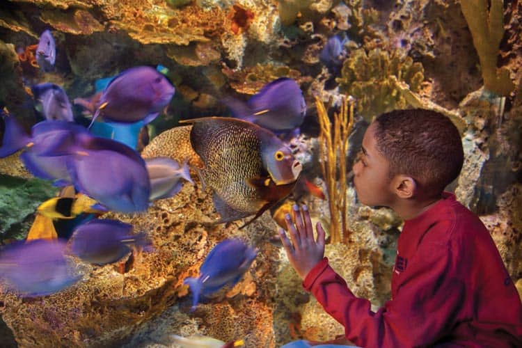 Adventure Aquarium in New Jersey.