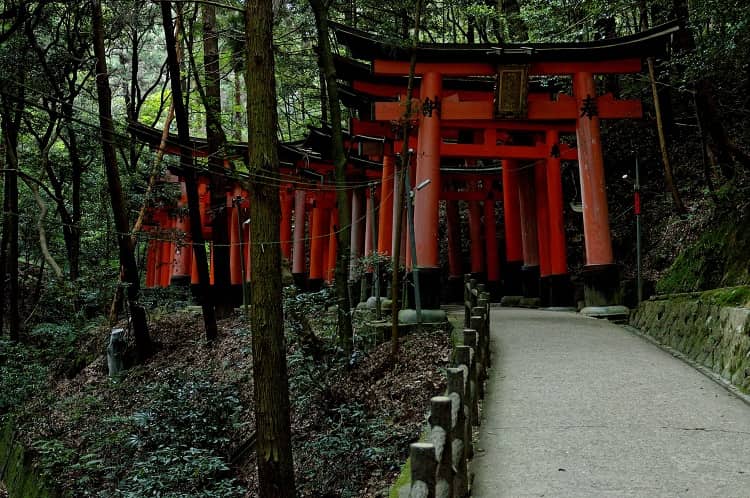 Climbing Fushimi Inari.