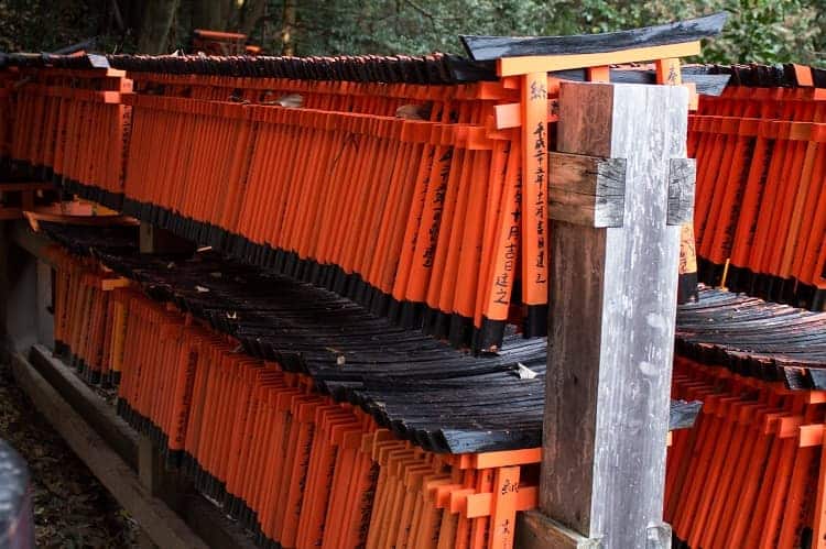 Rows of Torii Shrine. 