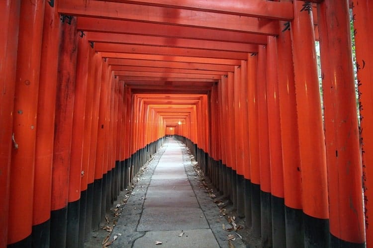 Torii tunnel at Fushimiinari shrine.