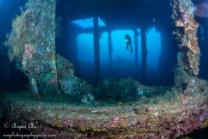 Bali – Heavenly Diving on the Island of the Gods