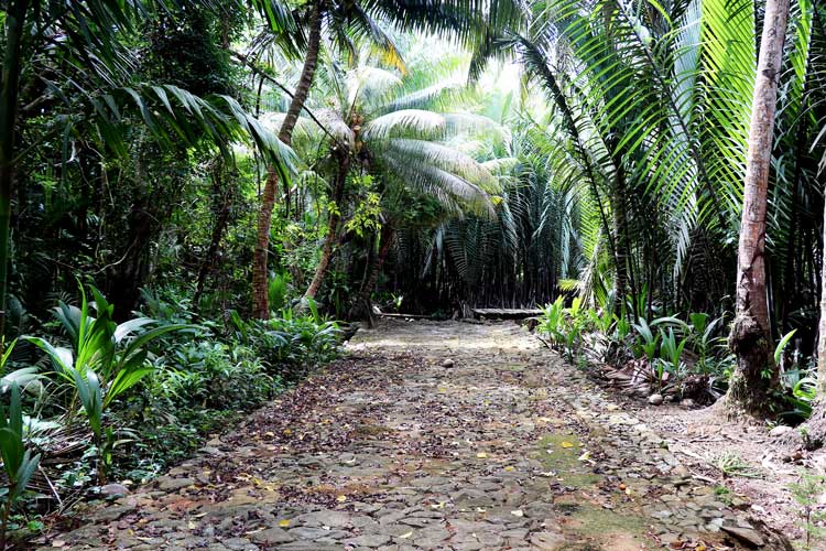 An ancient stone path connects the villages on the island of Yap.