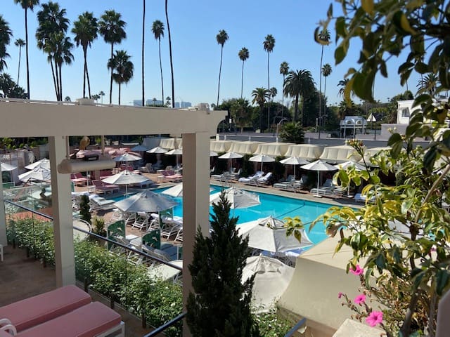 Beverly Hills hotel pool