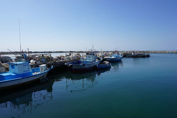 Fishing boats are waiting on the coast.