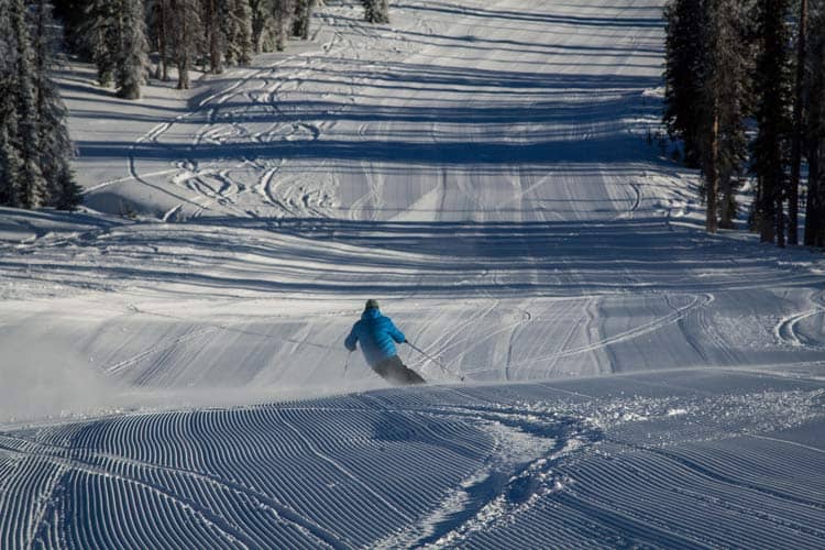 Dave Chambers carving corduroy at Wolf Creek.