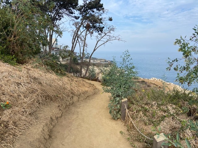 La Jolla Cove beach