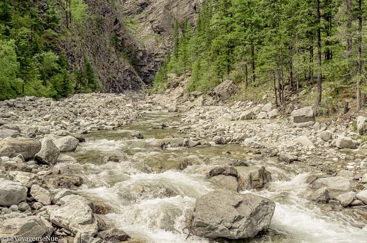 Tunkinsky park is heaven on earth for wild nature amateurs. Photo Courtesy: Author Yaara Ros