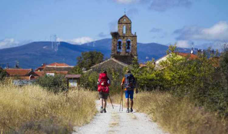 Traveling companions on the Camino