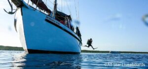 Liveaboard diving adventures