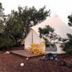 Yurt between trees