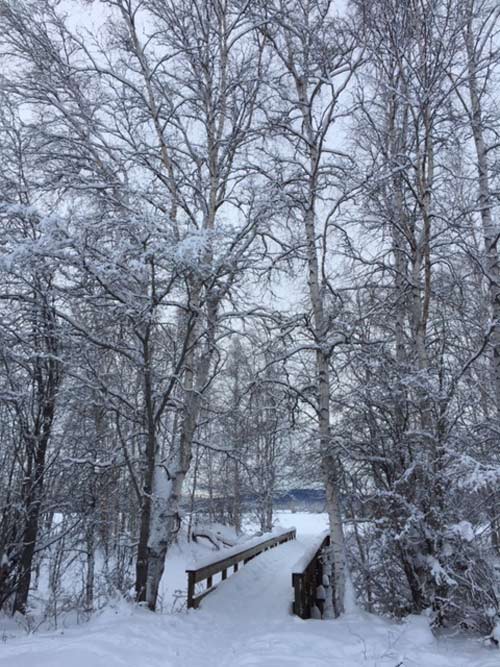 Wildlife preserve Creamers Field, a former dairy farm, is a picturesque and serene preserve in midwinter.