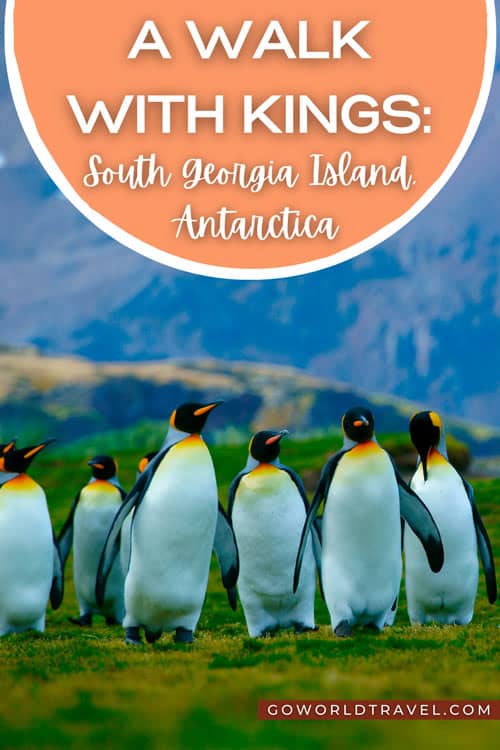 The sandy beaches of this chilly island are a giant nursery for penguins, seals and pelagic birds. Explore South Georgia Island on this subantarctic adventure.