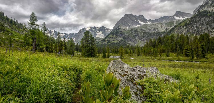 Gorgeous and green Altai valley