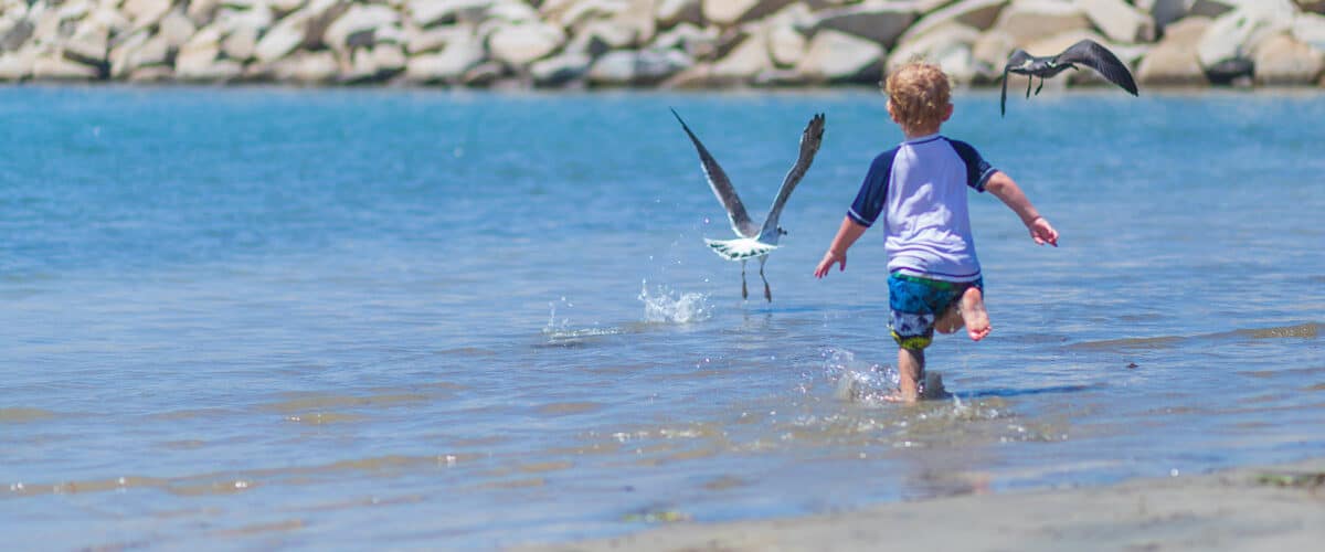 Baby chases seagulls on the beach