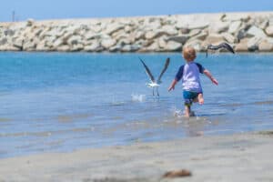 A Family-Friendly Florida Vacation: Wildlife, Beaches, Snorkeling and More