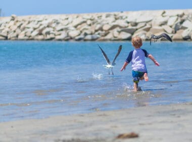 Baby chases seagulls on the beach