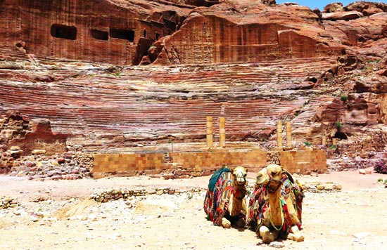 Camels resting at Petra