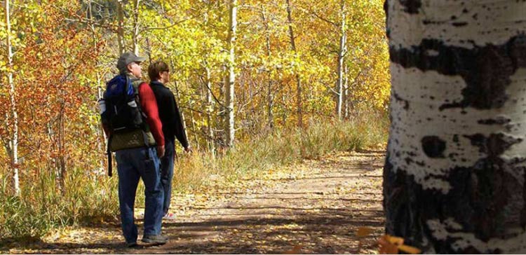 Hiking through the aspens in Glenwood Springs. Photo by Glenwood Springs