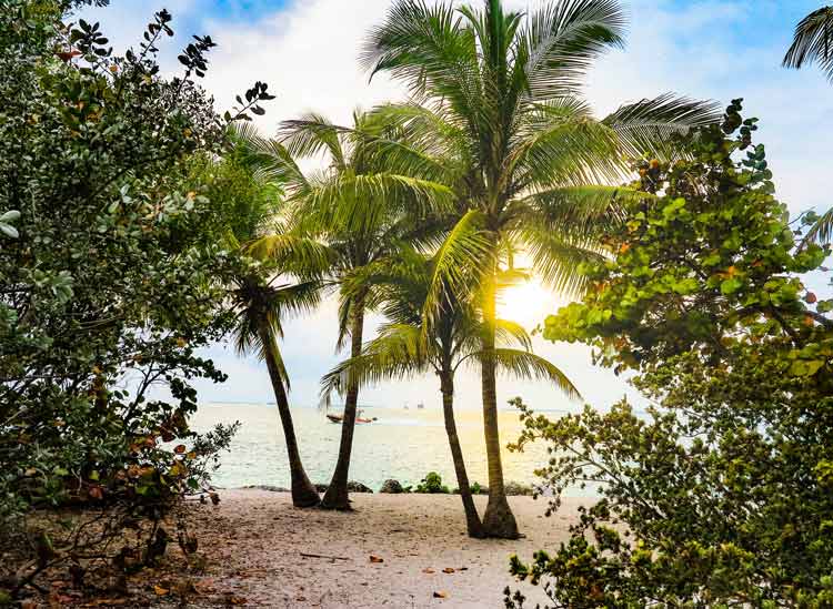 Key Largo beach view