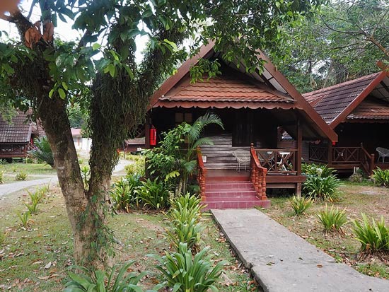 Homes in the rainforest