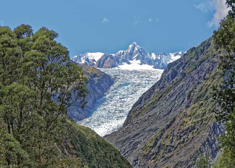 Fox glacier in New Zealand