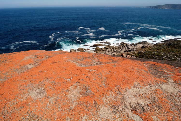 The vivid coast of Kangaroo Island