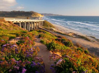 Winter travel to Torrey Pines beach in Sand Diego, California