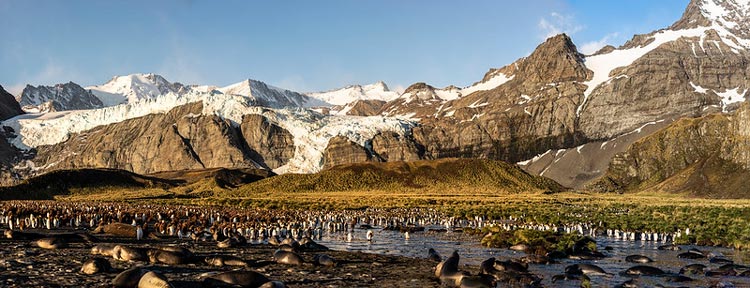 Breath-taking view of South Georgia Island mountains