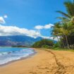 Top Things to Do in Maui