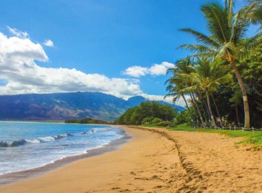 Top Things to Do in Maui