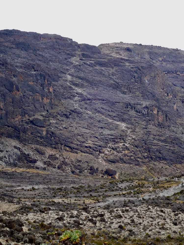 The Barranco Wall on Mt. Kilimanjaro. Photo by Tony Mangia