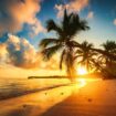 Sunset in Punta Cana. Image by valio84sl from Getty Images Pro via Canva