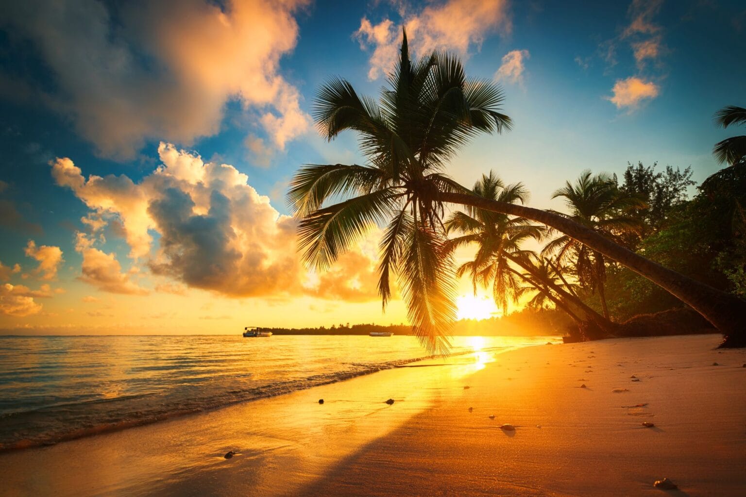 Sunset in Punta Cana. Image by valio84sl from Getty Images Pro via Canva