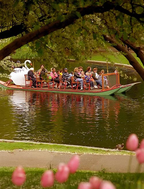 Boston Swan Boat Tours, a popular icon. CC Image by David Ohmer