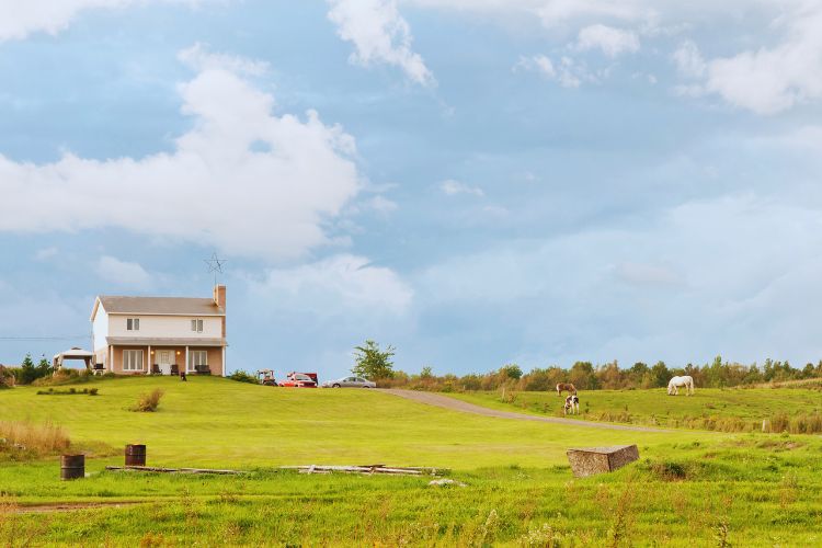 Farmhouse on Orleans Island