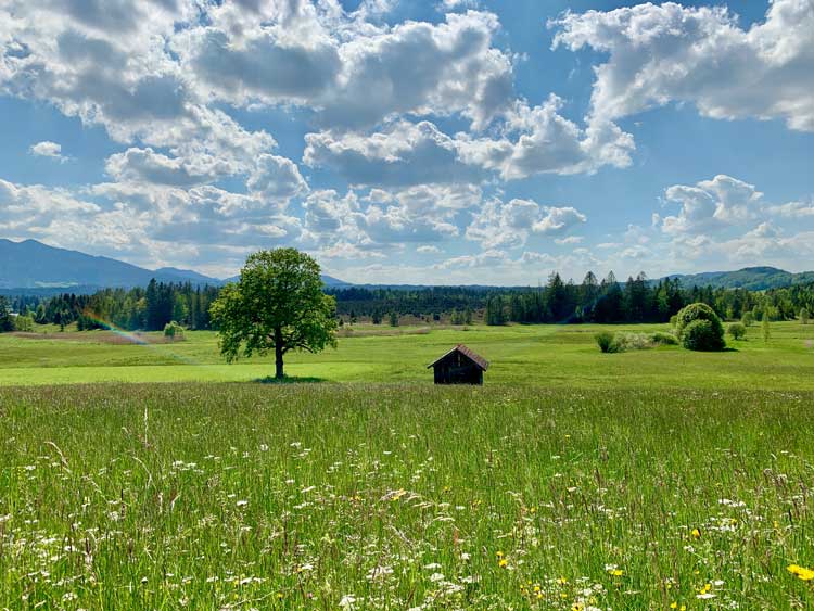 Cabin in the Bavarian field