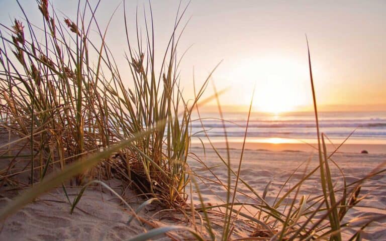 Vacation at Panama City in Florida