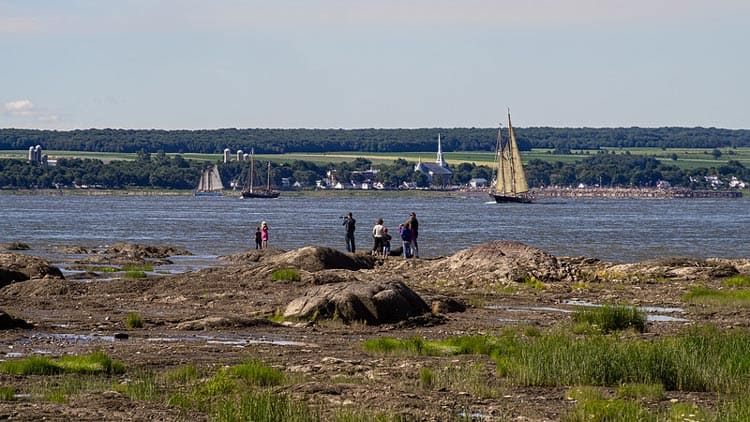 Île d’Orléans sailboat racing in Quebec