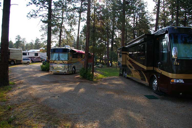 RV park in the woods