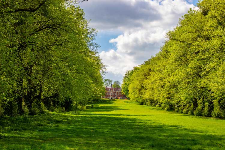 Lush greenery in Winchester