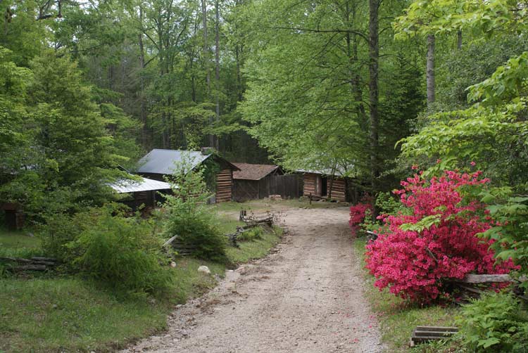 Cabin at the end of a dirt road in a wooded area