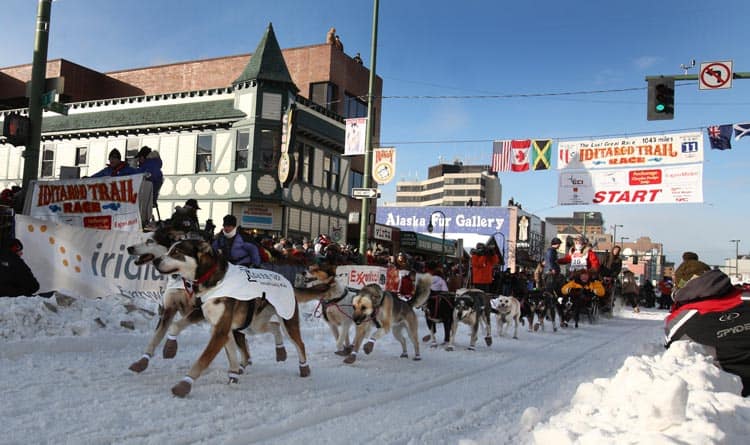 Musher Jodi Bailey, from Chatanika, Alaska, near Fairbanks, and her team set out from the start of the Iditarod sled dog race in Downtown Anchorage. Photo by Dino Vournas