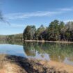 The Latta Plantation Nature Preserve offers guests the unique opportunity to see wildlife, go hiking, kayaking, paddleboarding, horseback riding and take a journey back in time by visiting the Plantation house