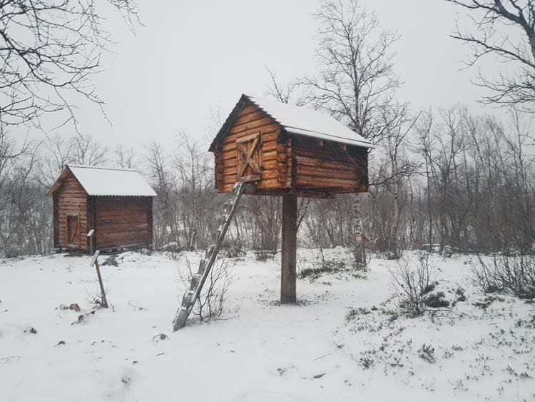 One tourist attraction in Sweden is the recreation of a Sami Villiage. Photo by Esther Nampiina and Joseph Mukama