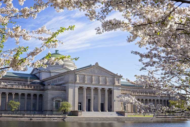 The Museum of Science and Industry in Chicago