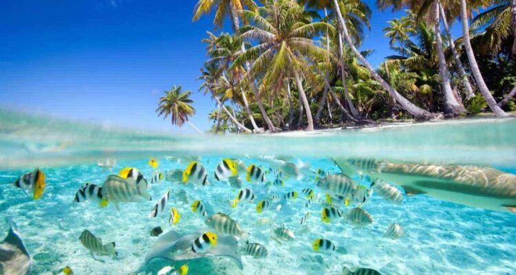 World Travel: The Maldives is among the Top 15 Bucket List Ideas