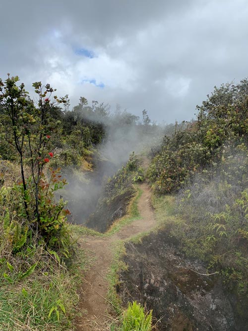 The Big Island is home to Hawaii's Hawai'i Volcanoes National Park features one of the world's most active volcanos. Photo by Janna Graber