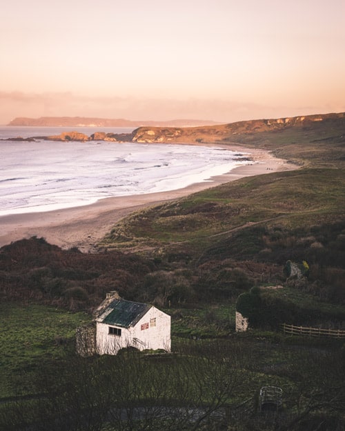 Whitepark Bay, where you can find the most famous cows in Northern Ireland, people come from all around to take pictures of them. Photo by Anthony Boyle