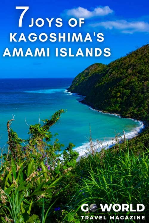 Amami Islands in Japan: 7 Ways to Experience Kagoshima and the Amami Islands in Japan 

#japantravel #japan #amamiislands #kagoshima #worldheritagesite #traveler #thingstodoinJapan