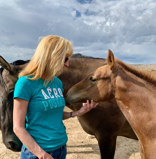 At Our Heritage Ranch in Nebraska, Debbie and I were able to pet the horses. Photo by Janna Graber